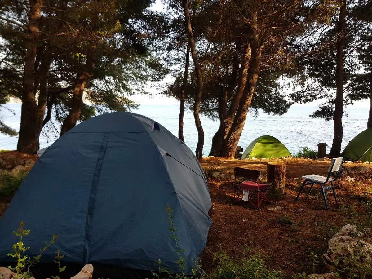 Evening at the camp under the pines