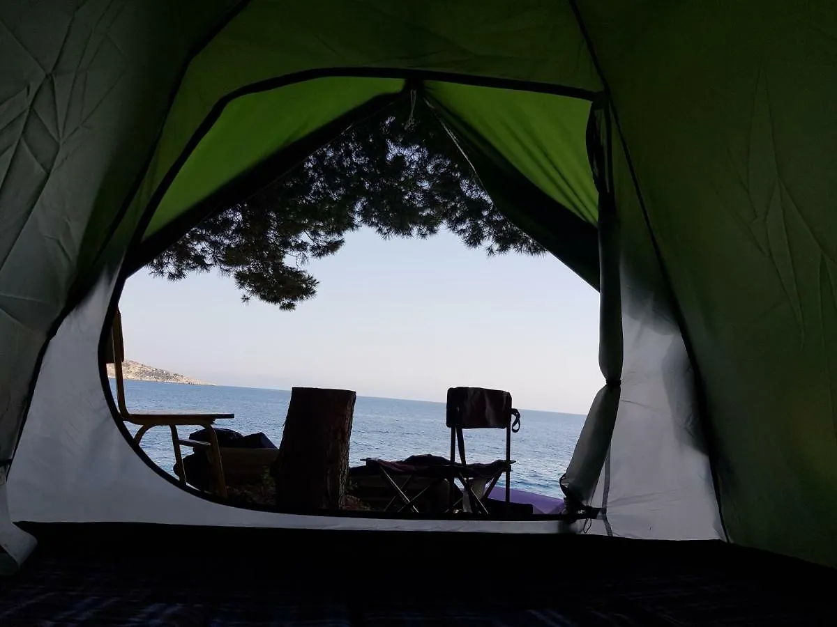 Guests relaxing at the camp