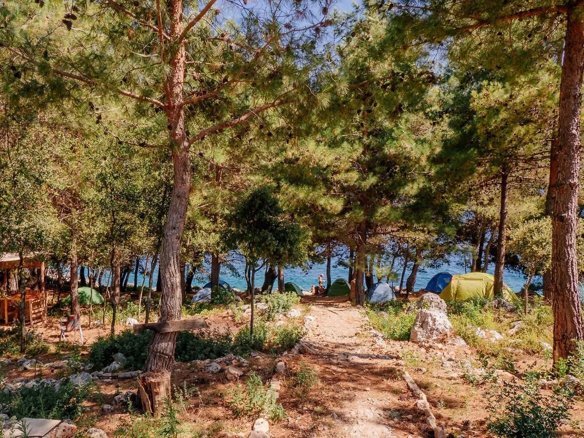 Sunbeds and shade at the camp