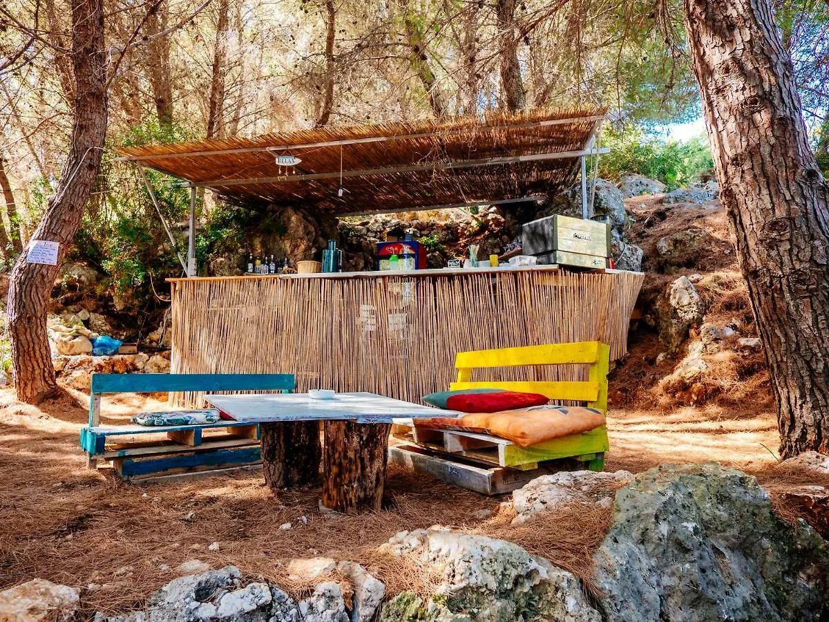Tent pitched under the pines